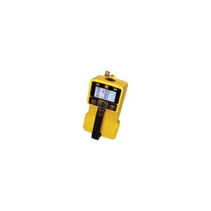 722-109-P2 EAGLE 2 for H2S / VOC?s 0 - 2,000 ppm (PID)