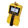 722-001-TR1 EAGLE 2 for H2 (0 - 5%) / O2, for transformer gas testing, with sample bag & dilution fitting