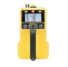 723-029-02 EAGLE 2 for LEL & PPM / H2S / CO2 10,000 ppm (IR)