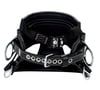 DBI-SALA 1001404 SEAT-BELT 4D Lineman Belt (size D30)